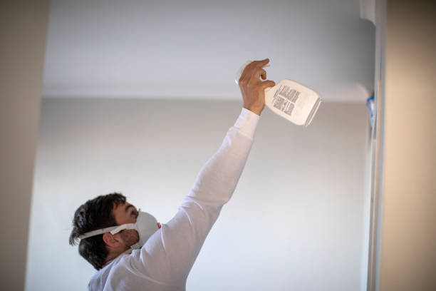 Best Water Damage Restoration  in Butler, GA