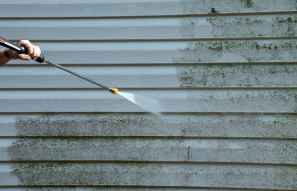 Best Toxic Mold Removal  in Butler, GA