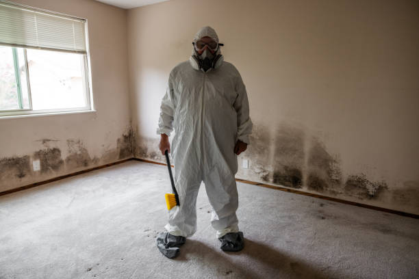 Attic Mold Removal in Butler, GA