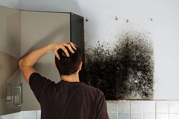 Best Commercial Mold Removal  in Butler, GA